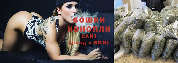сатива Покровск