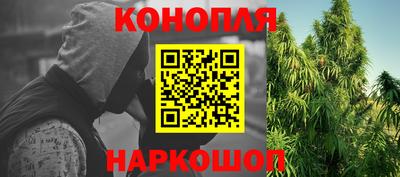 мяу мяу мука Абакан