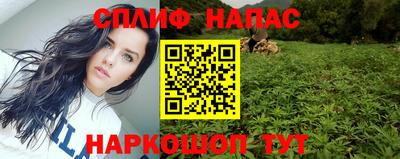ешки Гатчина