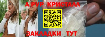 мяу мяу мука Абакан