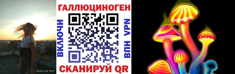 Псилоцибиновые грибы MAGIC MUSHROOMS  где можно купить наркотик  Александров 