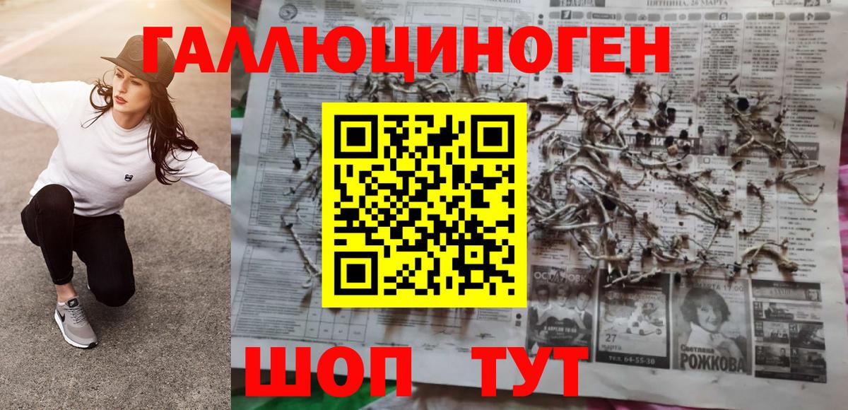 Александров  Галлюциногенные грибы Psilocybe  Галлюциногенные грибы мицелий  где можно купить   Вход с VPN 