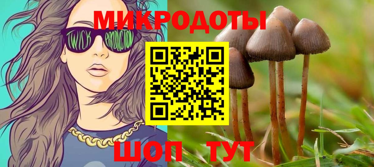 Псилоцибиновые грибы MAGIC MUSHROOMS  Вход с VPN  Александров 