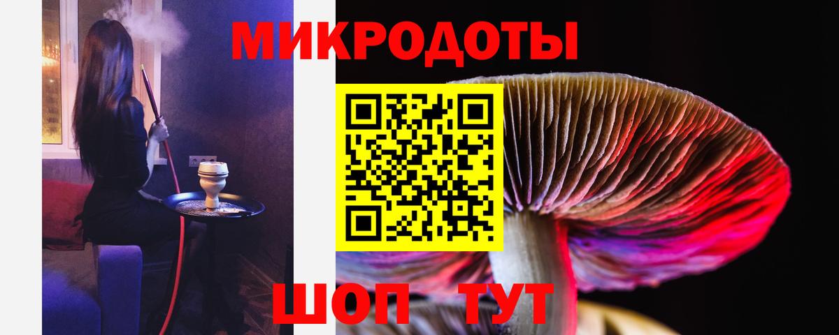 Галлюциногенные грибы Psilocybe Александров