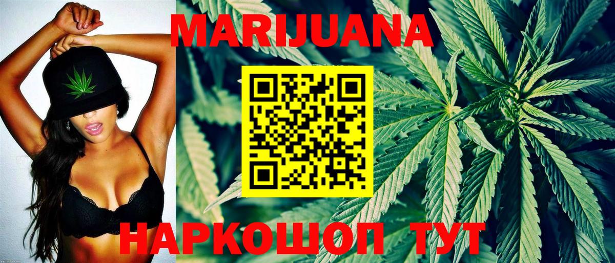 Канабис конопля Александров